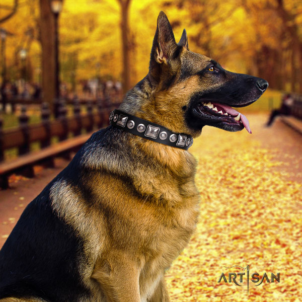 German Shepherd full grain natural leather dog collar with decorations for your beautiful four-legged friend