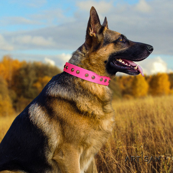 German Shepherd full grain natural leather dog collar with studs for your lovely doggie