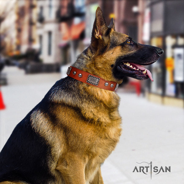 German Shepherd leather dog collar with studs for your handsome four-legged friend