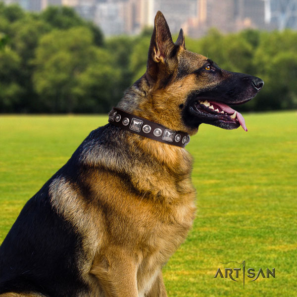 German Shepherd full grain genuine leather dog collar with studs for your beautiful four-legged friend