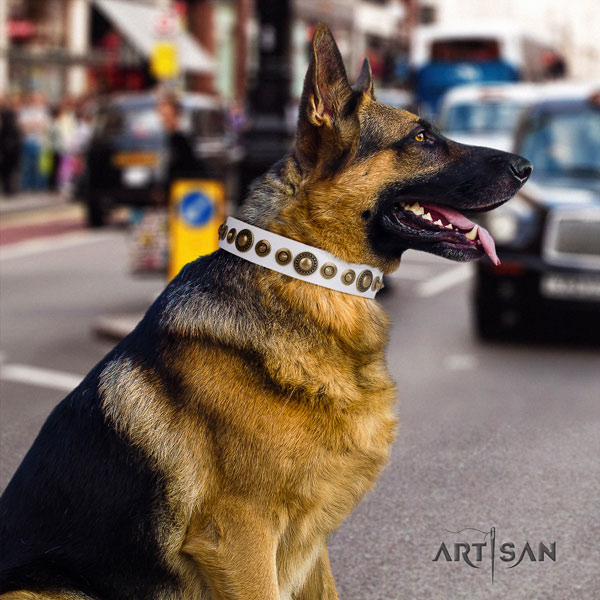 German Shepherd natural genuine leather dog collar with adornments for your impressive canine