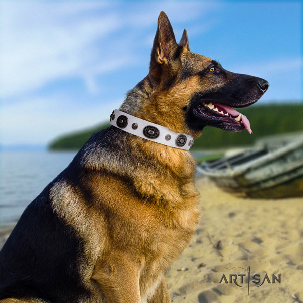 German Shepherd leather dog collar with embellishments for your stylish dog