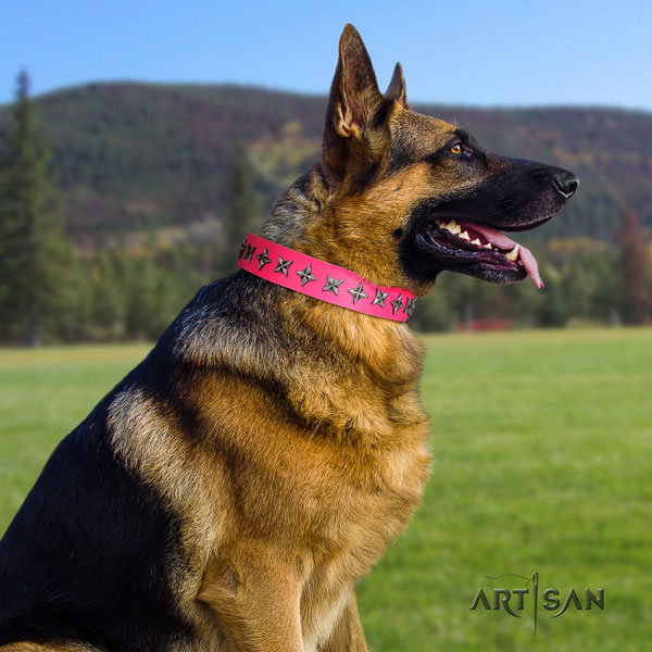 German Shepherd leather dog collar with adornments for your beautiful four-legged friend