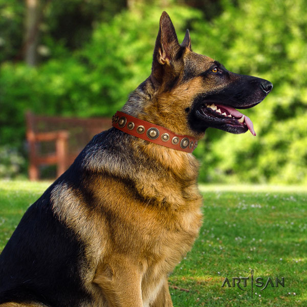 German Shepherd full grain leather dog collar with adornments for your impressive four-legged friend