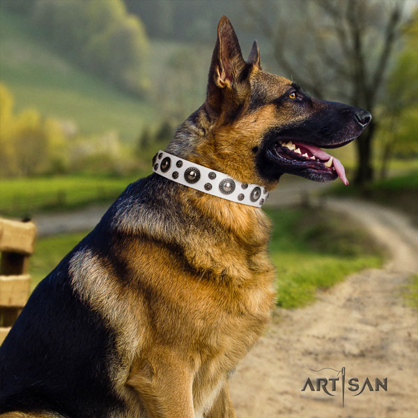 German Shepherd natural genuine leather dog collar with studs for your lovely dog