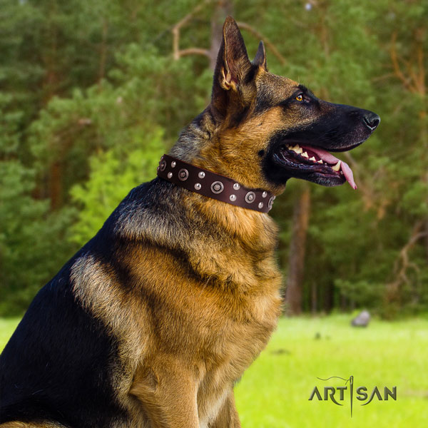 German Shepherd full grain natural leather dog collar with adornments for your attractive dog