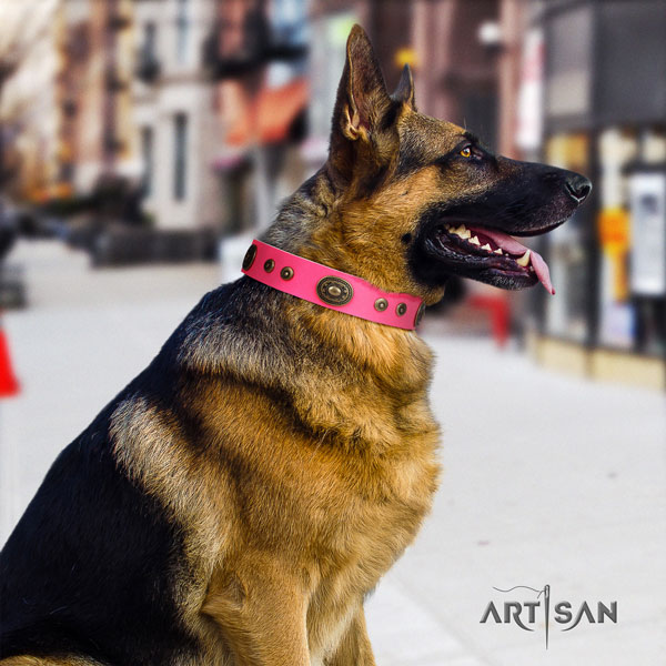 German Shepherd full grain genuine leather dog collar with studs for your beautiful doggie
