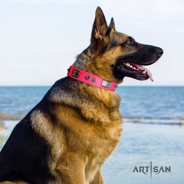 German Shepherd full grain genuine leather dog collar with embellishments for your handsome dog
