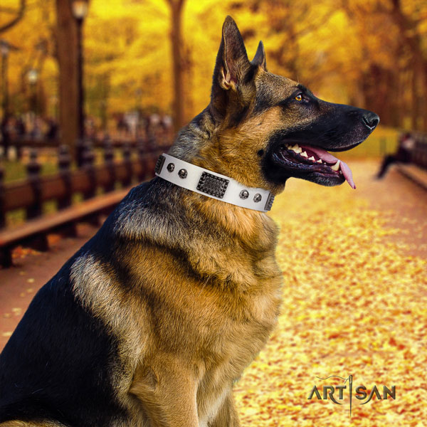 German Shepherd full grain natural leather dog collar with adornments for your attractive four-legged friend