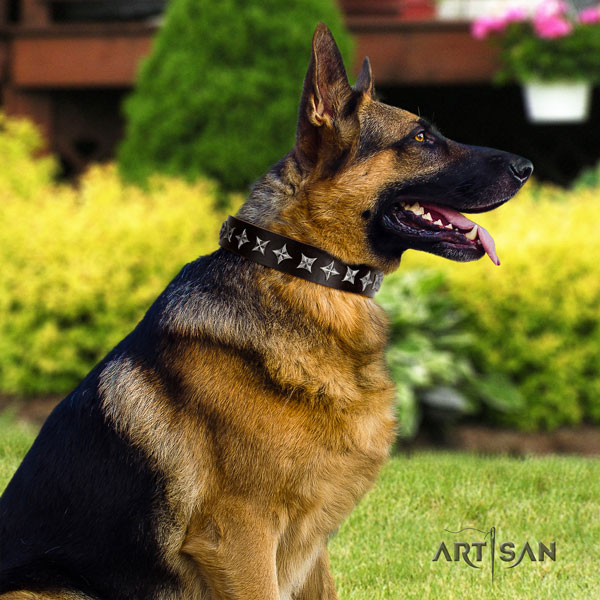 German Shepherd full grain genuine leather dog collar with adornments for your handsome canine