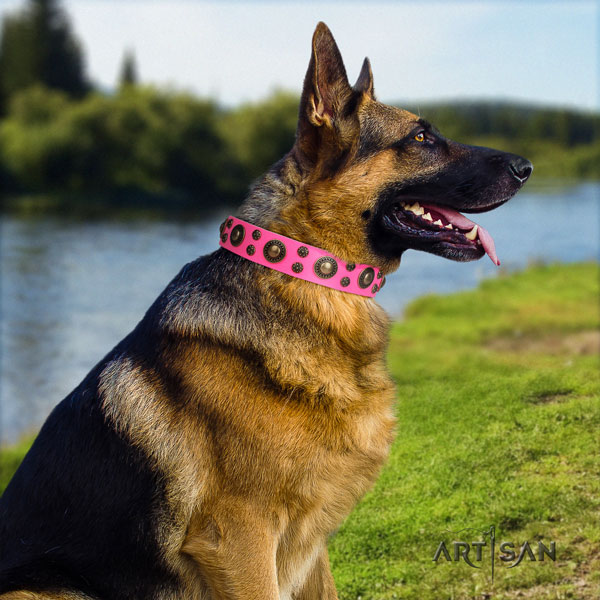 German Shepherd full grain leather dog collar with studs for your stylish canine
