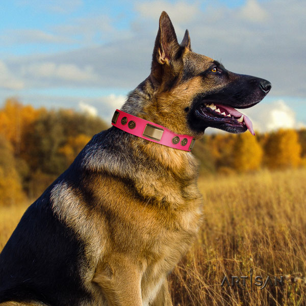 German Shepherd natural genuine leather dog collar with studs for your handsome canine