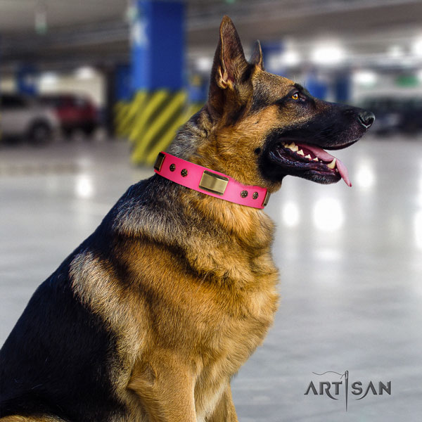 German Shepherd full grain natural leather dog collar with embellishments for your beautiful canine
