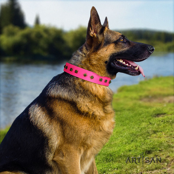 German Shepherd natural genuine leather dog collar with decorations for your beautiful four-legged friend
