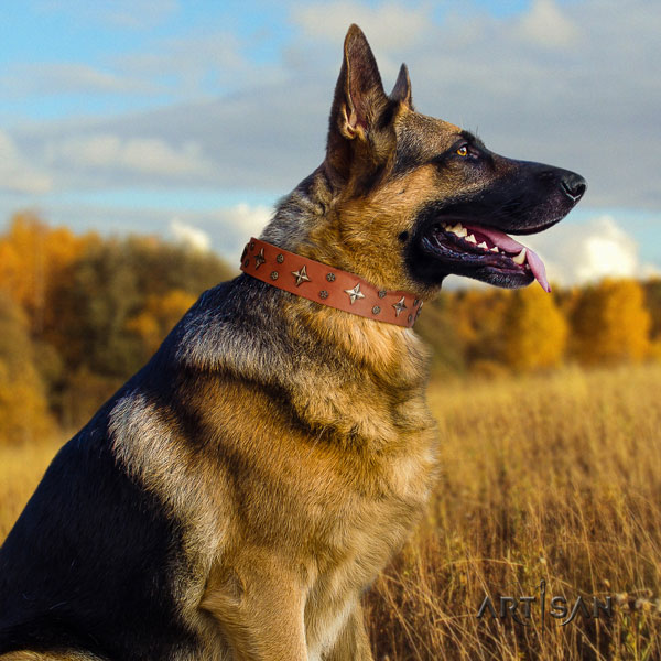 German Shepherd leather dog collar with decorations for your beautiful doggie