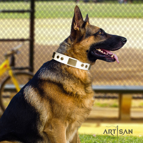 German Shepherd full grain genuine leather dog collar with decorations for your attractive dog
