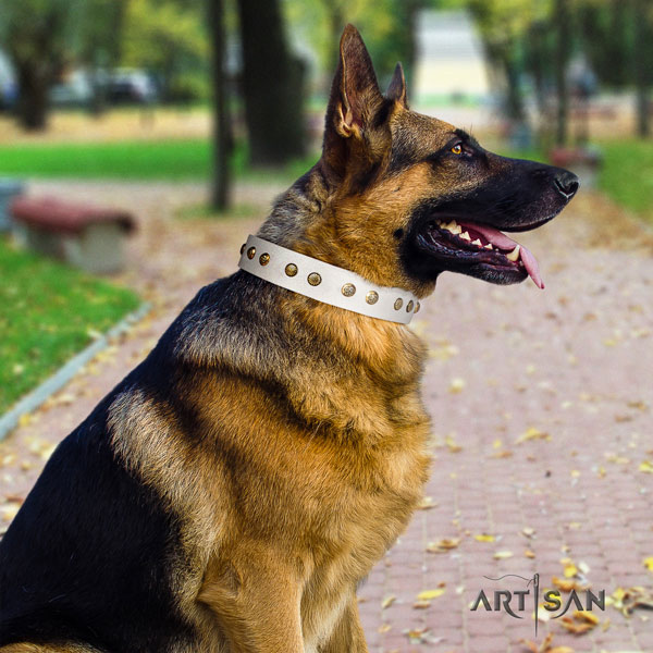 German Shepherd full grain genuine leather dog collar with decorations for your stylish canine
