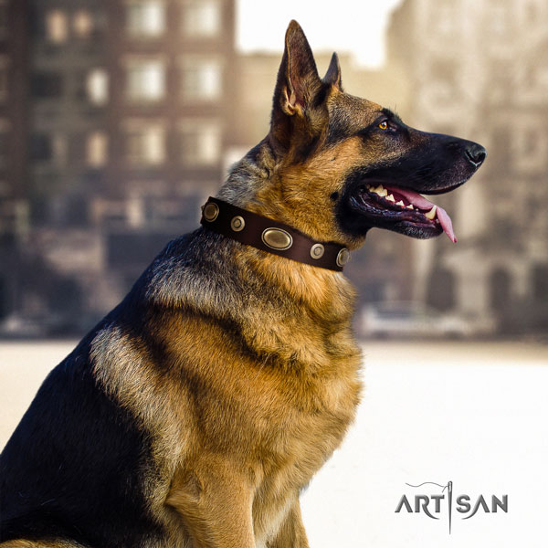 German Shepherd full grain leather dog collar with studs for your beautiful canine