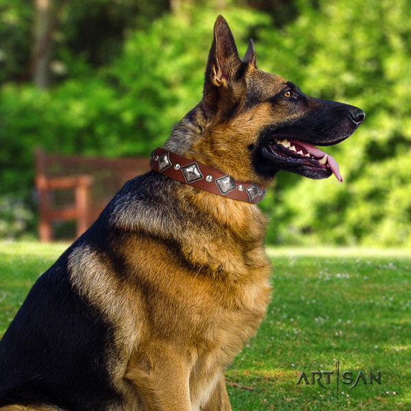German Shepherd full grain natural leather dog collar with decorations for your beautiful pet
