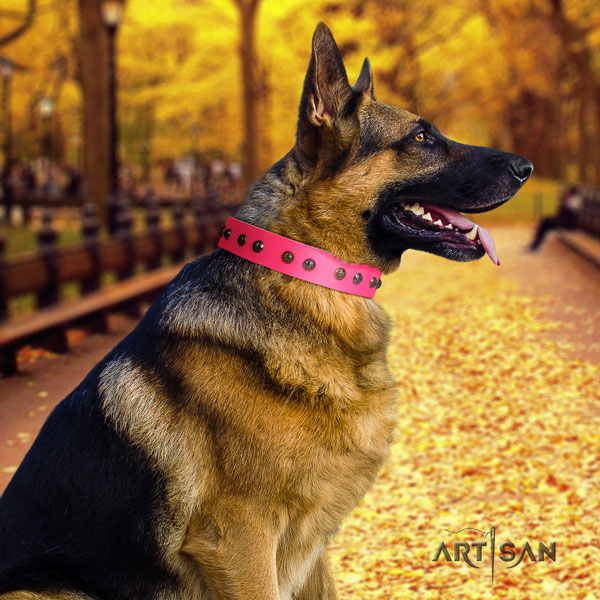 German Shepherd full grain leather dog collar with decorations for your lovely four-legged friend