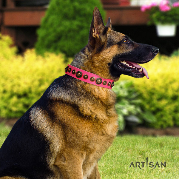 German Shepherd natural genuine leather dog collar with embellishments for your handsome doggie