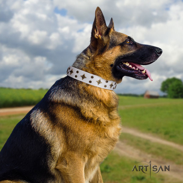 German Shepherd full grain natural leather dog collar with embellishments for your impressive four-legged friend