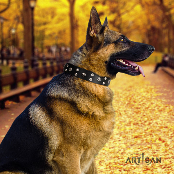 German Shepherd leather dog collar with adornments for your handsome pet