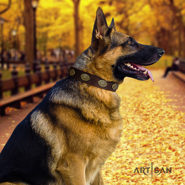 German Shepherd leather dog collar with studs for your lovely four-legged friend