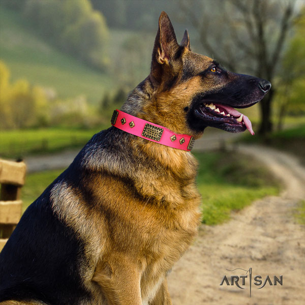 German Shepherd full grain genuine leather dog collar with studs for your stylish dog