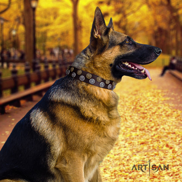 German Shepherd leather dog collar with decorations for your beautiful four-legged friend