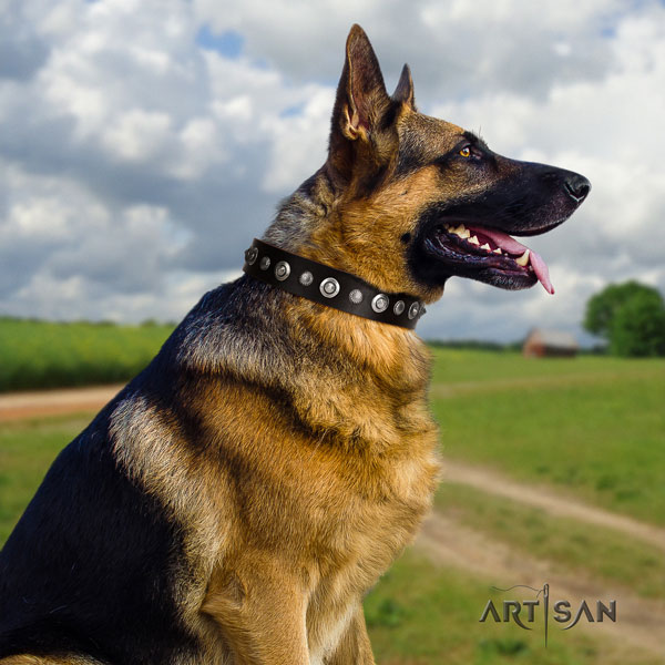 German Shepherd natural genuine leather dog collar with embellishments for your lovely doggie