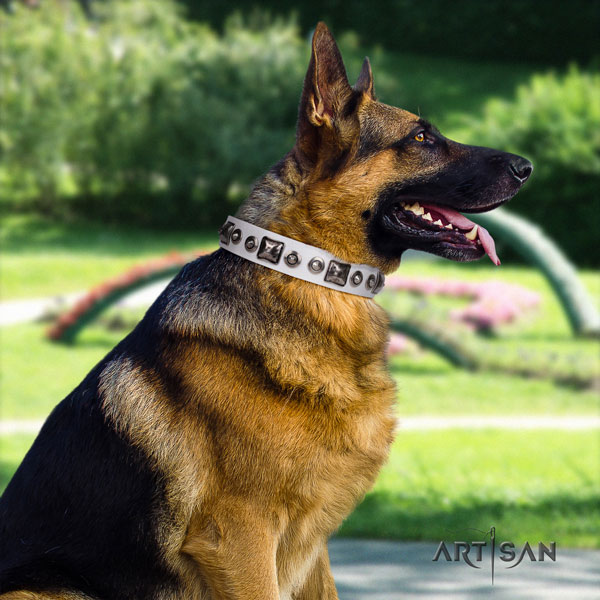 German Shepherd natural genuine leather dog collar with studs for your beautiful four-legged friend