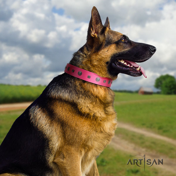 German Shepherd easy adjustable full grain natural leather dog collar with significant embellishments