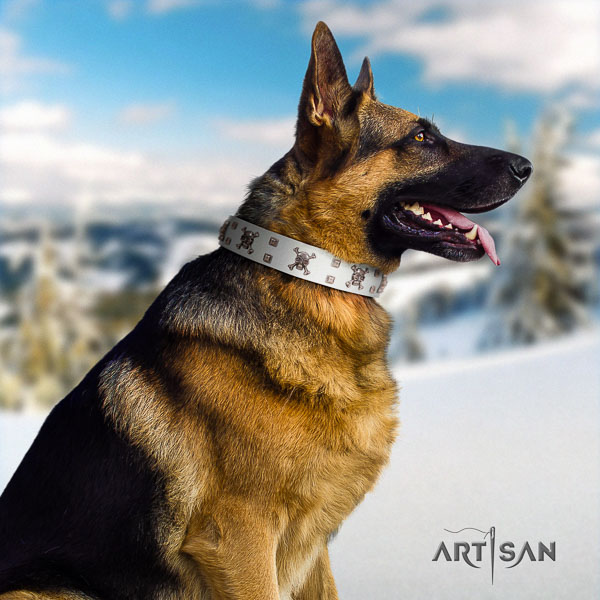 German Shepherd impressive natural genuine leather collar with adornments for your pet