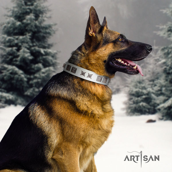 German Shepherd extraordinary full grain genuine leather collar with studs for your canine