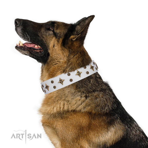 German Shepherd adjustable full grain natural leather dog collar for basic training