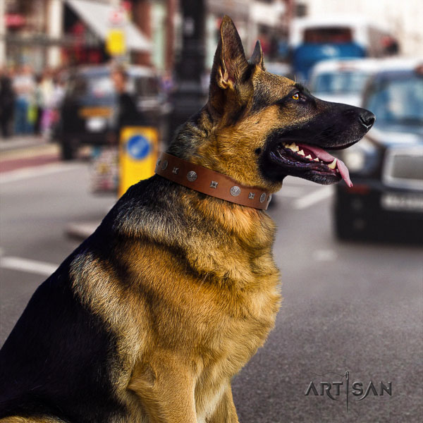 German Shepherd easy to adjust natural genuine leather dog collar with unusual decorations