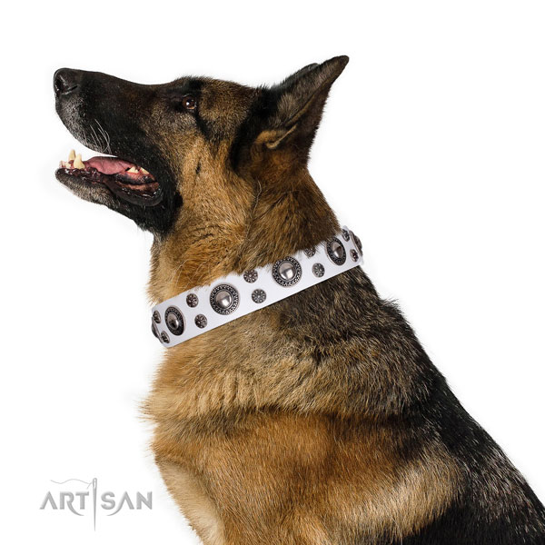 German Shepherd fine quality leather dog collar for easy wearing