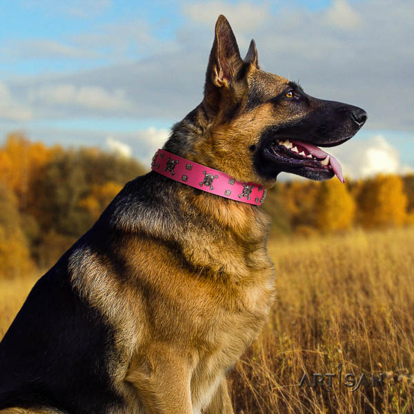 German Shepherd easy wearing genuine leather collar with decorations for your dog