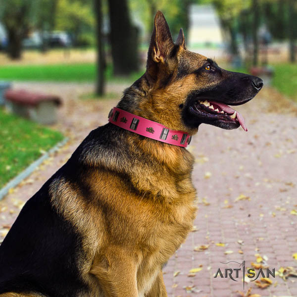 German Shepherd perfect fit full grain natural leather dog collar with stylish design studs