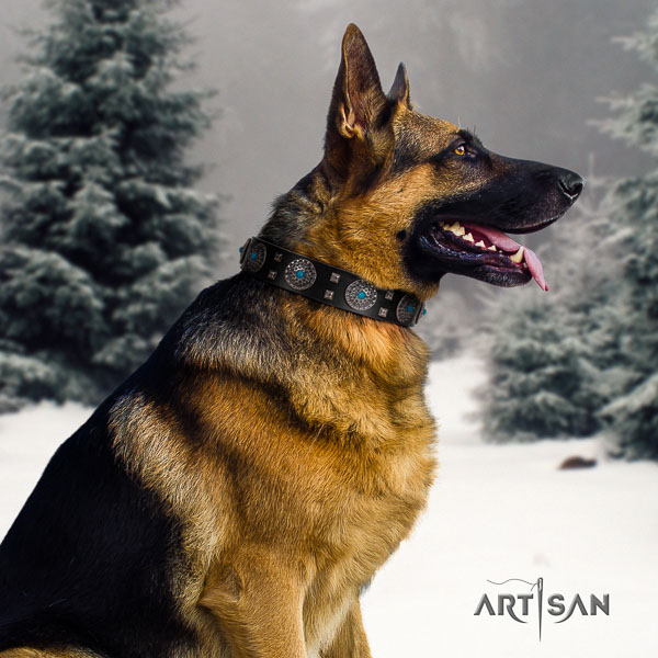 German Shepherd impressive full grain leather collar with studs for your four-legged friend