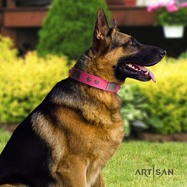 German Shepherd best quality full grain natural leather collar with adornments for your doggie