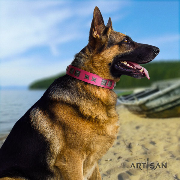 German Shepherd impressive leather collar with studs for your canine
