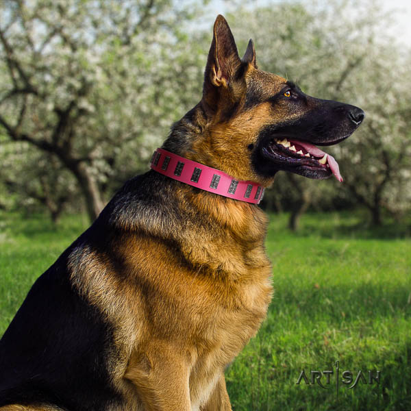 German Shepherd easy adjustable leather dog collar with amazing studs