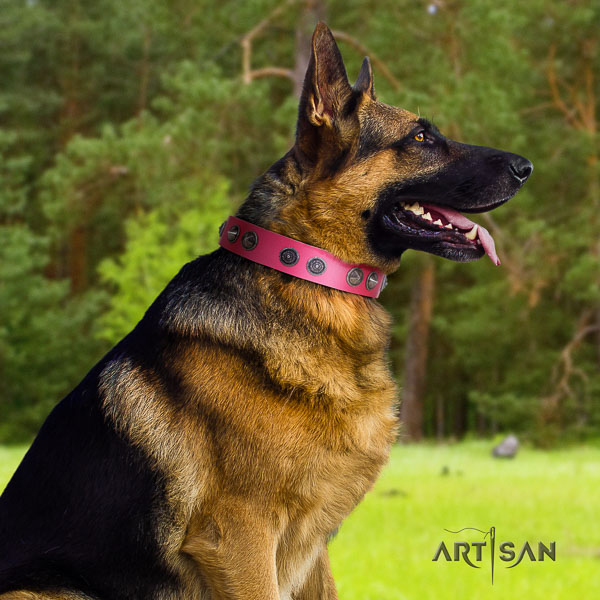 German Shepherd convenient full grain leather dog collar with fashionable adornments