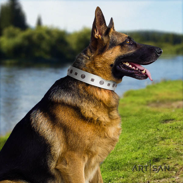 German Shepherd comfortable full grain genuine leather dog collar with top notch adornments