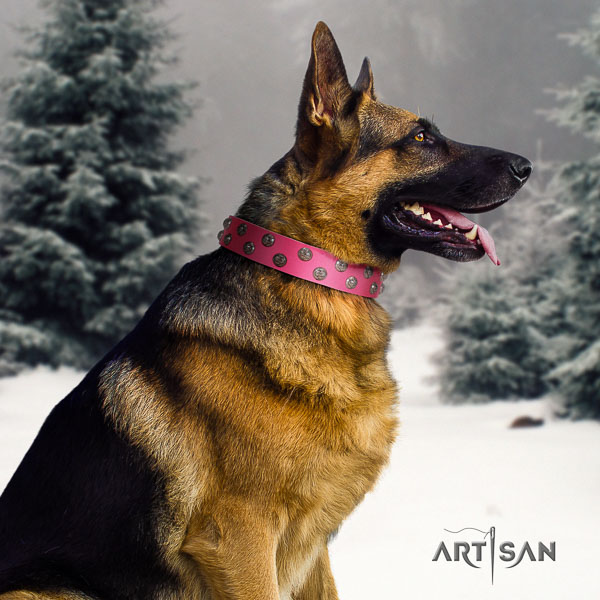 German Shepherd extraordinary full grain genuine leather collar with embellishments for your pet