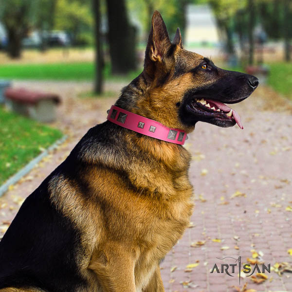 German Shepherd handmade full grain leather collar with decorations for your four-legged friend