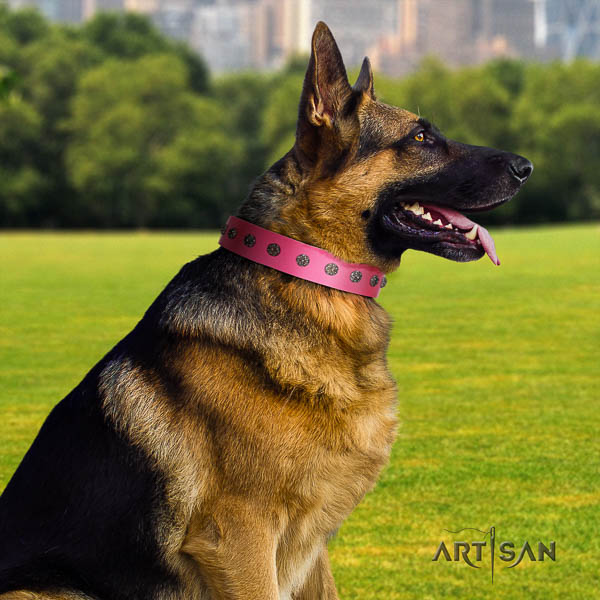 German Shepherd comfortable natural genuine leather dog collar with fashionable studs