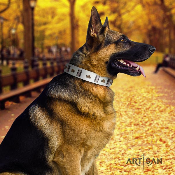 German Shepherd top quality full grain natural leather dog collar with unusual studs